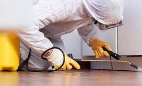 Real Estate Pest Inspections in Voorheesville, NY